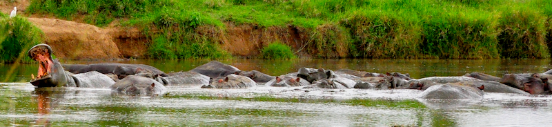 Melanie Heinrich Travel Images Africa